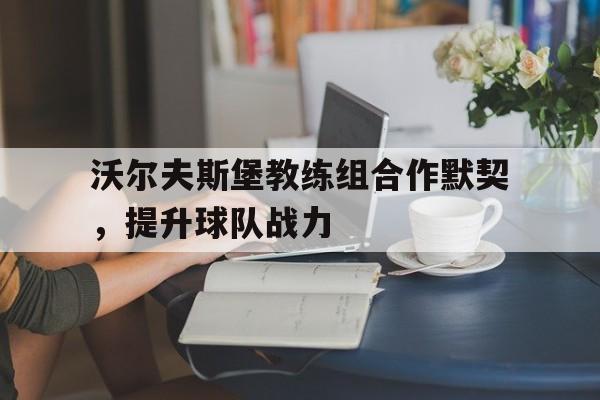 沃尔夫斯堡教练组合作默契，提升球队战力的简单介绍