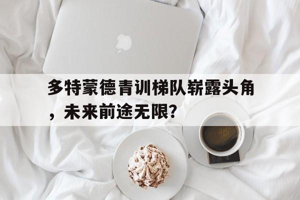 包含多特蒙德青训梯队崭露头角，未来前途无限？的词条